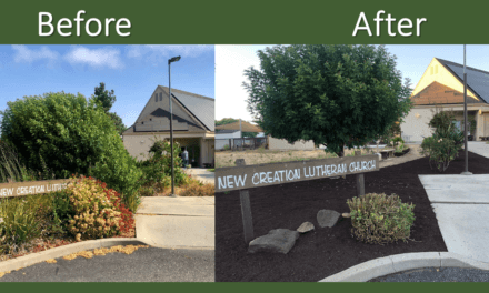 Big Landscaping Project at New Creation