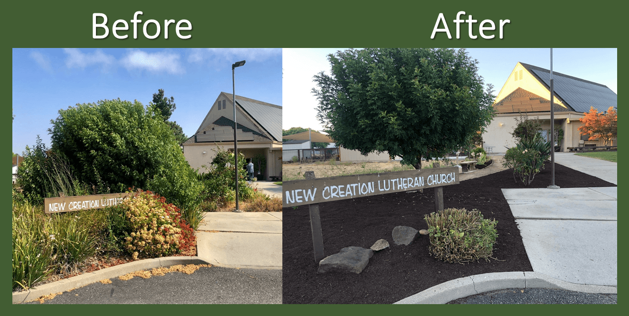 Big Landscaping Project at New Creation