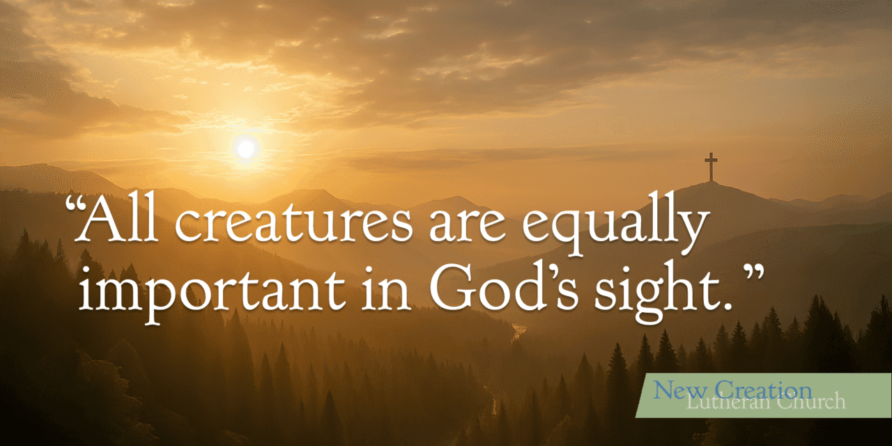 Creation Series: Born to Be Wild – Transcript