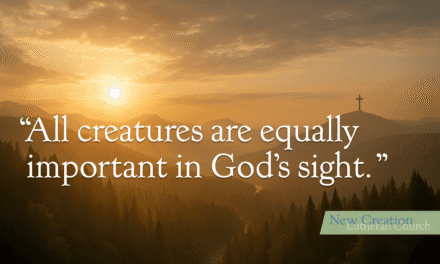 Sermon Notes/Reflection Guide – September 28, 2025