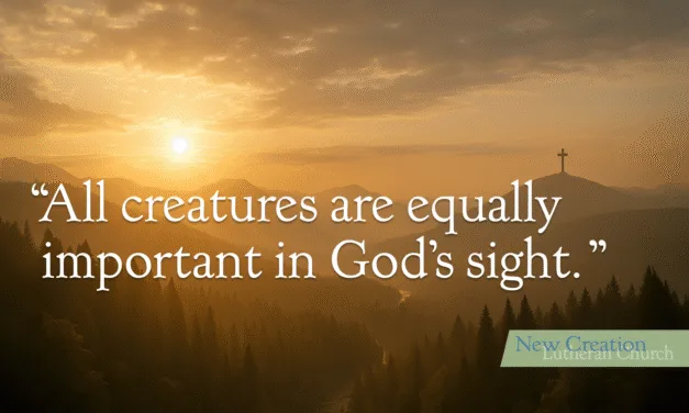 Creation Series: Born to Be Wild – Transcript