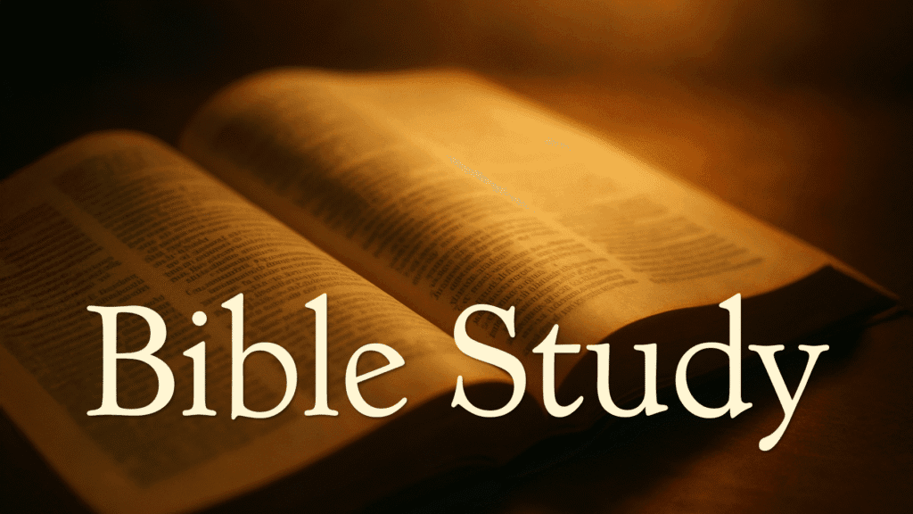 Bible Study