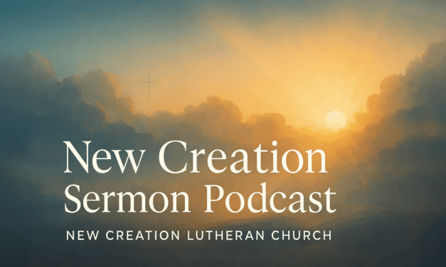 Creation Series: Born to Be Wild