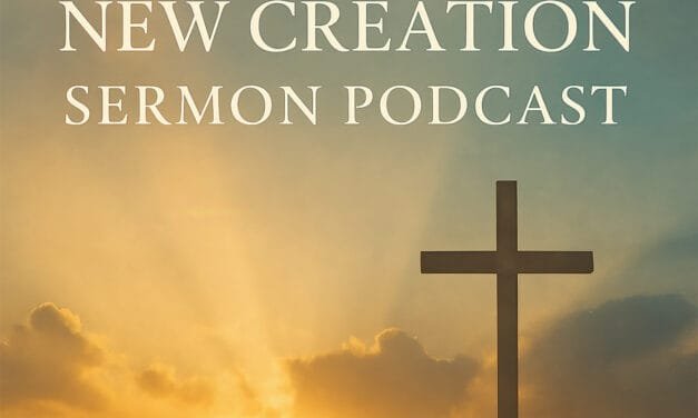 Sermon: Reformation and Renewal in Faith