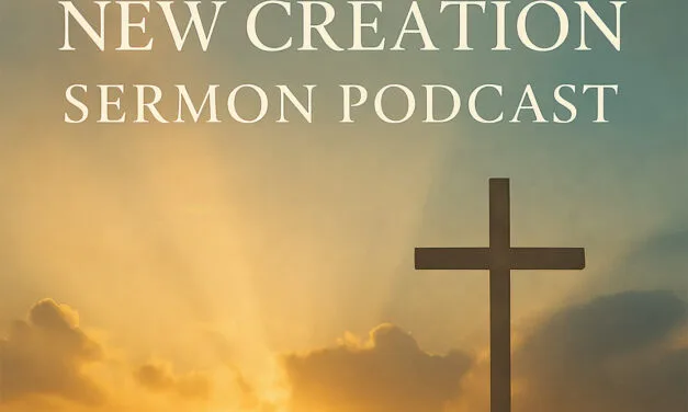 Sermon: Reformation and Renewal in Faith